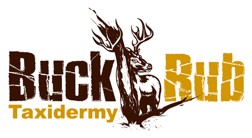 Buck Rub Taxidermy Logo